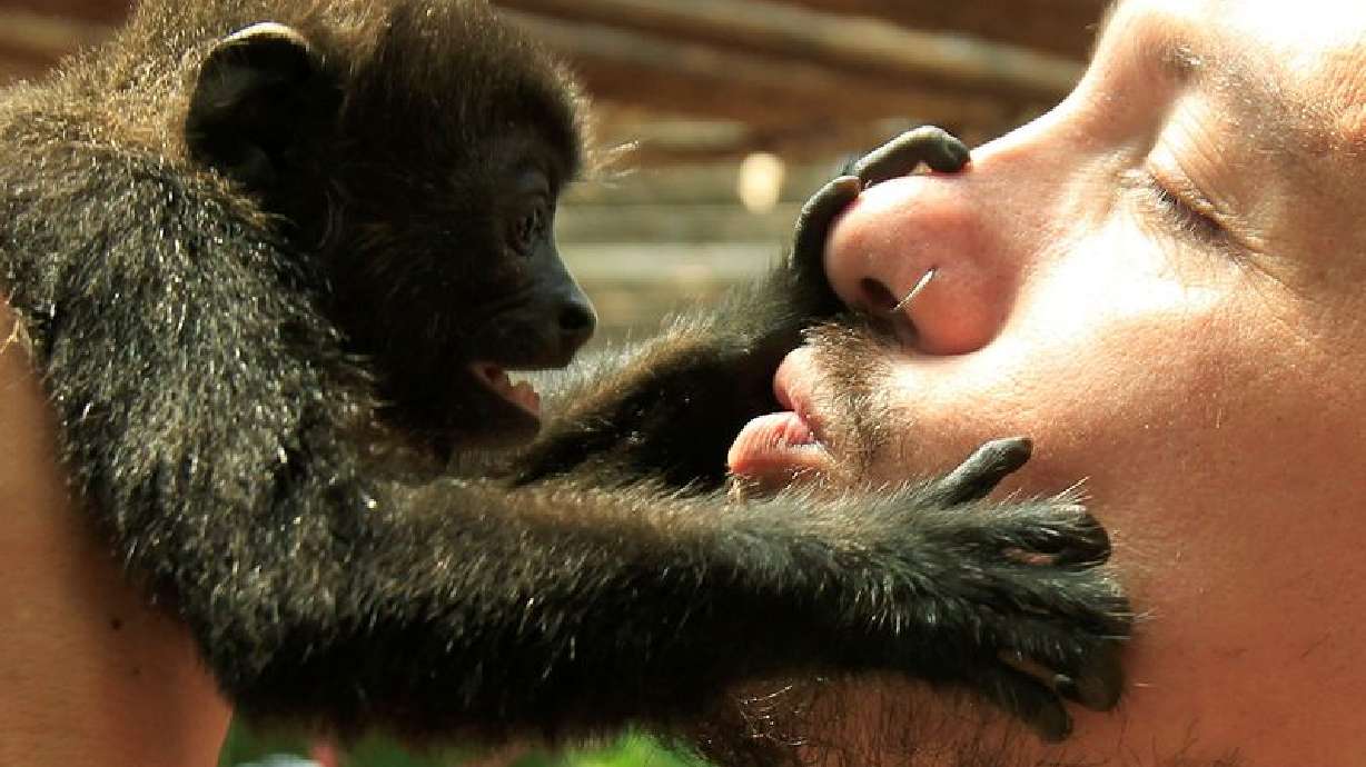 Вчені зясували, коли зявилися поцілунки: це було 20 млн років тому