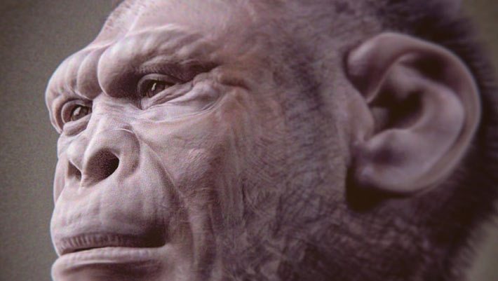 У Кенії знайшли найповніший скелет Homo habilis