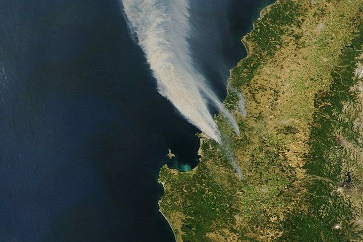 Лісові пожежі в Чилі знищили понад 30 тисяч гектарів