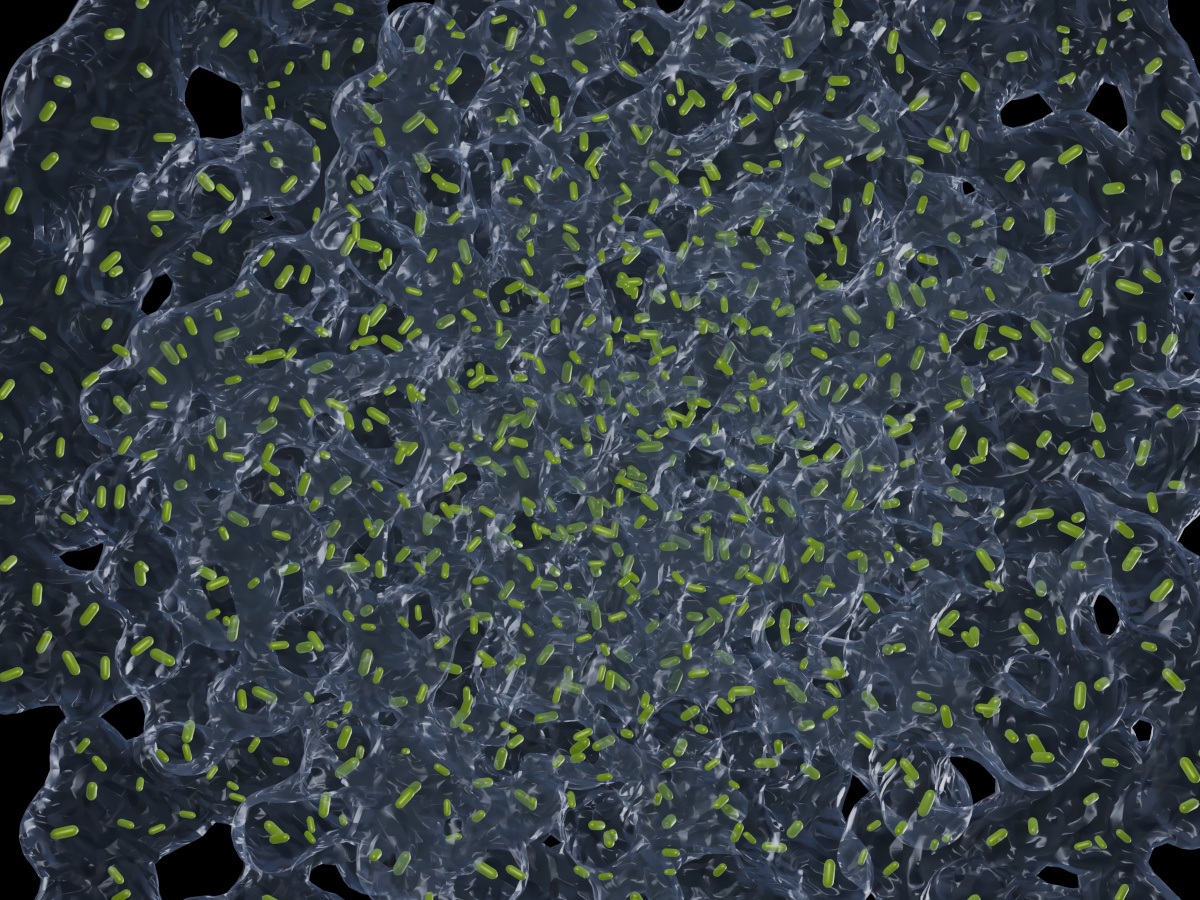 Біоплівки можуть стати ключем до здоровя під час космічних польотів