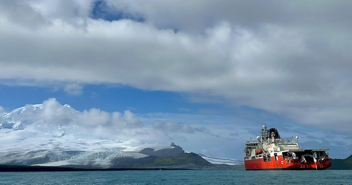 Вчені знайшли рідкісний вид молюска на острові Герд