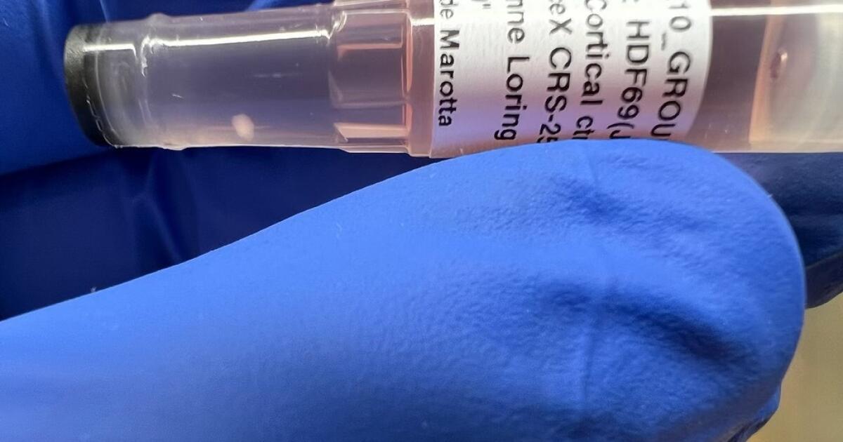 Дослідження на тваринах: дебати про етику та ефективність