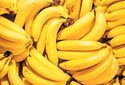 На Земле к 2050 году могут полностью исчезнуть бананы