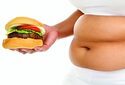 Влияние жирной пищи и кишечных бактерий