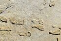Следы ног указали на присутствие людей в Америке 21 000 лет назад