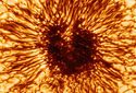 Астрономы смогли увидеть солнечное пятно в деталях.