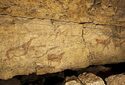 В пещере Эль Пендо найдены наскальные рисунки