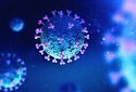 Австралийские ученые разработали 20-минутный тест крови на коронавирус