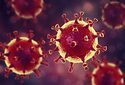 Когда появился вирус SARS-CoV-2?