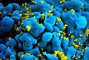 Технологию редактирования генов CRISPR впервые изучат для лечения ВИЧ