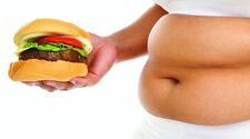 Влияние жирной пищи и кишечных бактерий