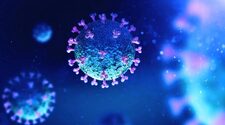 Австралийские ученые разработали 20-минутный тест крови на коронавирус