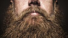 Длина бороды не указала на уровень тестостерона и доминантности мужчин