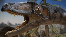 Учёными выявлены новые виды пернатых динозавров