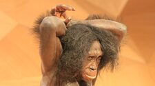 Археологами были найдены останки древнего человека ранее неизвестного науке